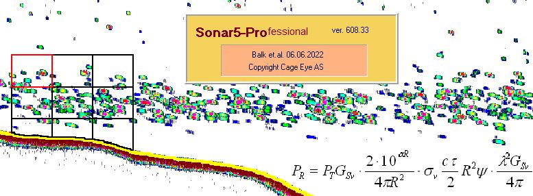 Cage Eye AS - Sonar5-Professional v608.33